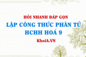 Xác định công thức phân tử (lập CTPT) hợp chất hữu cơ lớp 9 - Hỏi đáp môn Hoá
